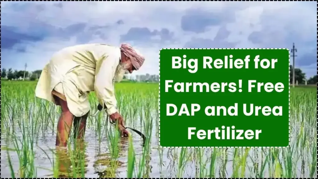 Big Relief for Farmers