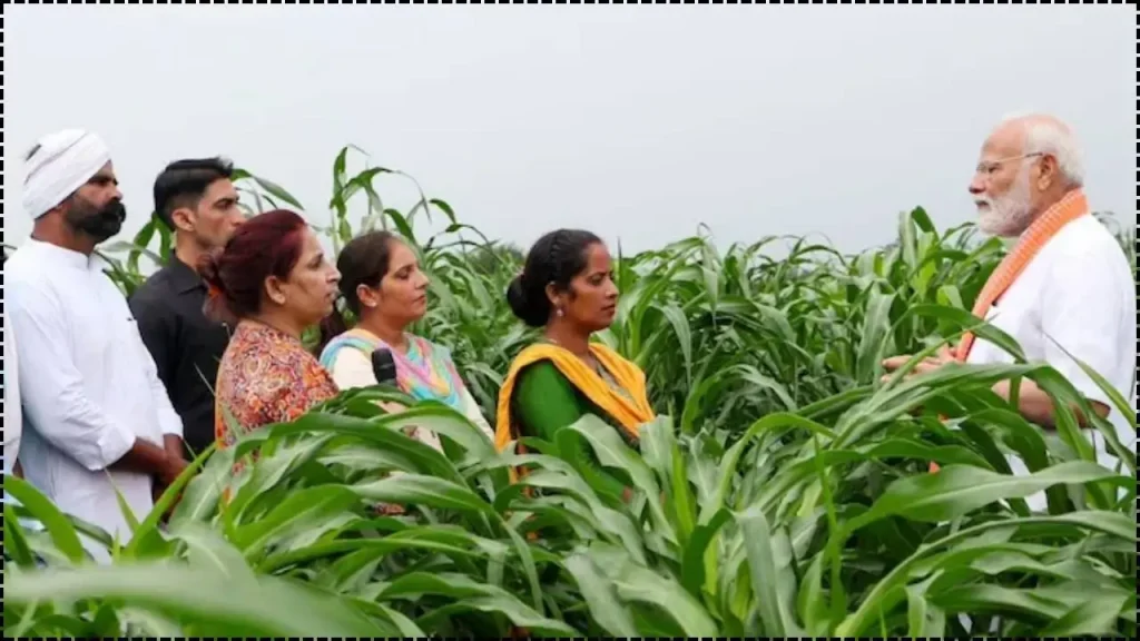 DAP & Urea Now Completely Free