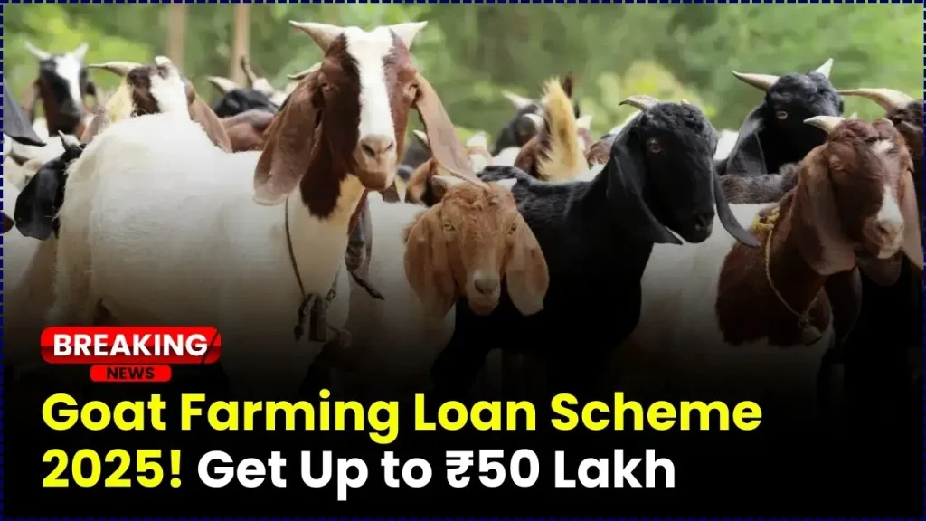Goat Farming Loan Scheme 2025