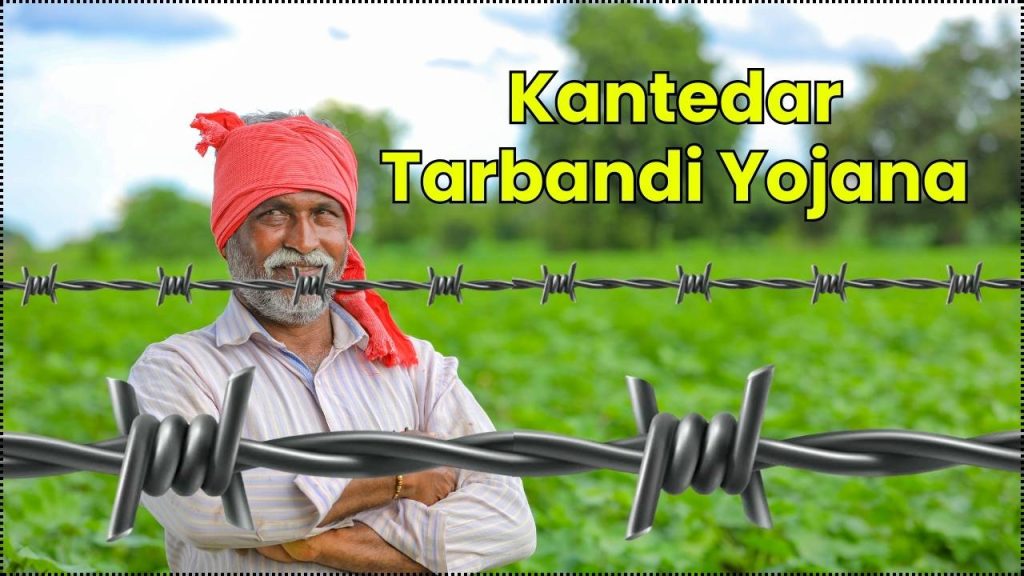 Kantedar Tarbandi Yojana 2025