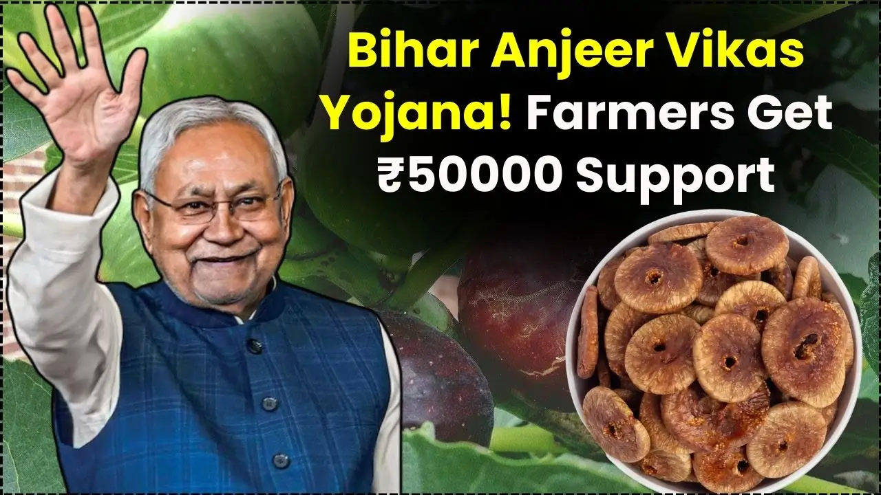 Bihar Anjeer Vikas Yojana