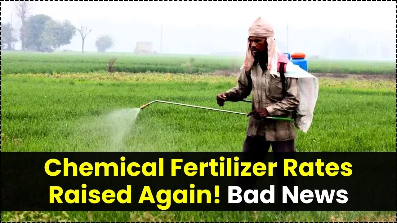Chemical Fertilizer Rates Raised