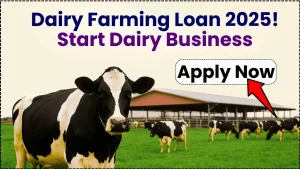 Dairy Farming Loan 2025