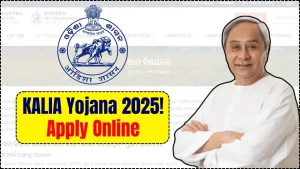 KALIA Yojana 2025: How to Check Registration Status, e-KYC and Apply Online 11 KALIA Yojana 2025