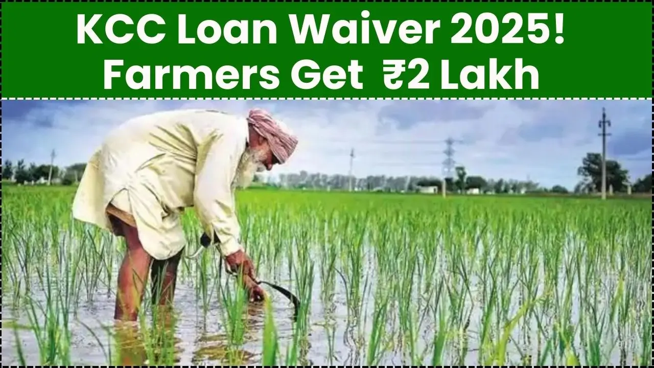 KCC Loan Waiver 2025