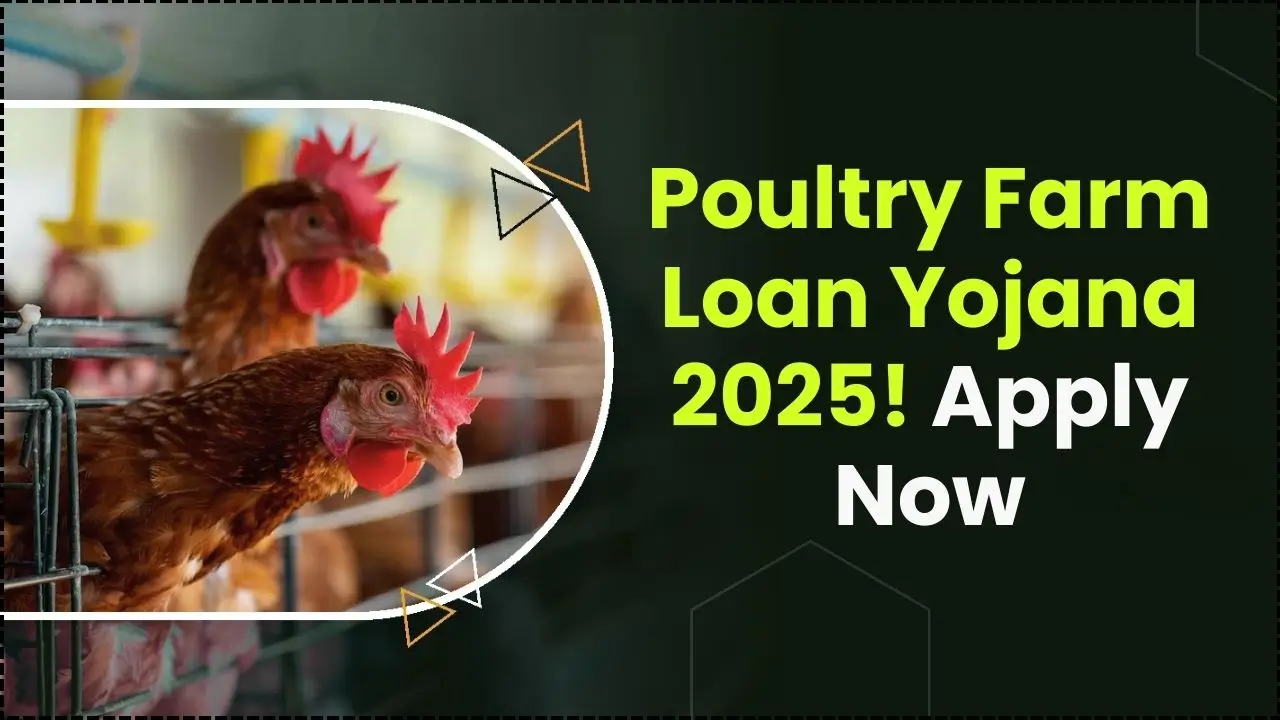 Poultry Farm Loan Yojana 2025