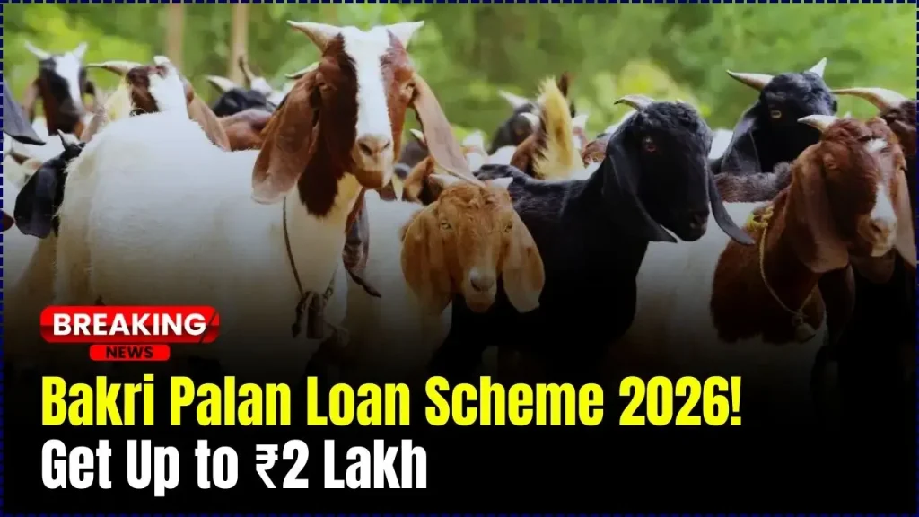 Bakri Palan Loan Scheme 2026
