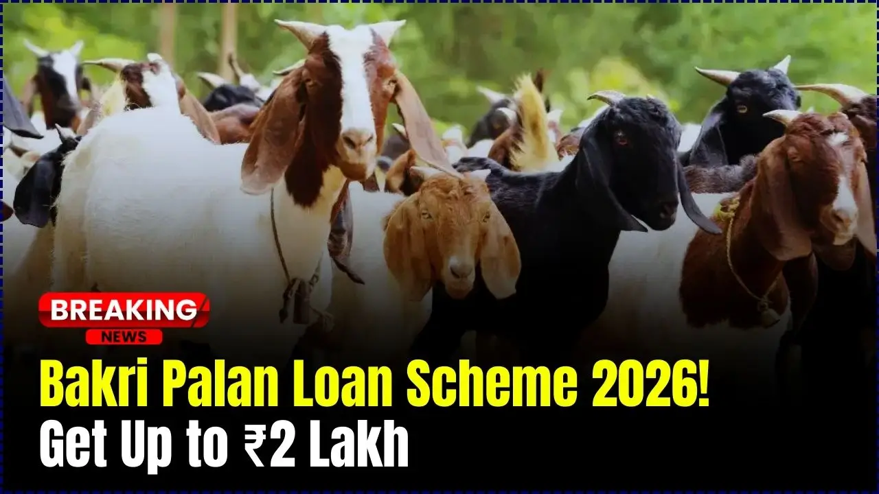 Bakri Palan Loan Scheme 2026