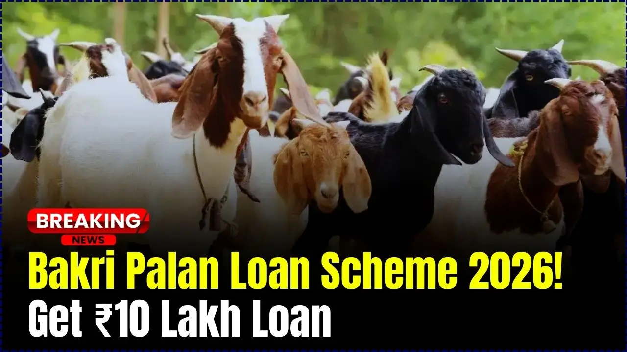 Bakri Palan Yojana 2026